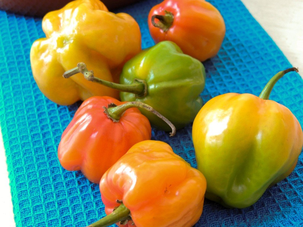 Sausage Rougail (Rougail Saucisse) #SundaySupper - The Petit Gourmet