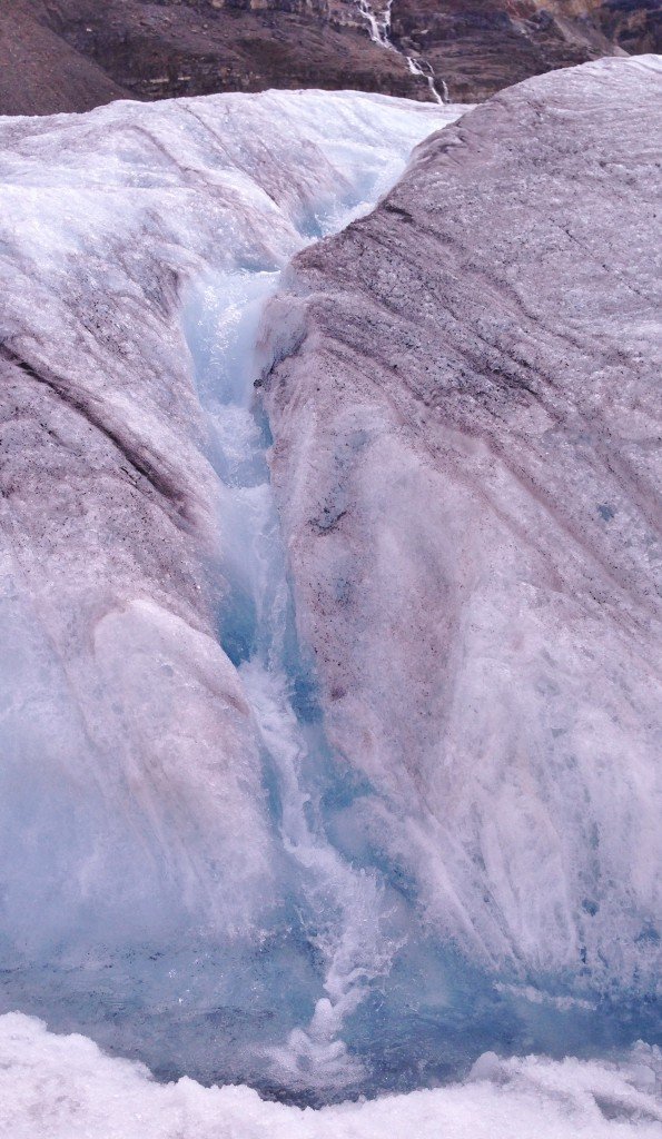 Columbia Icefield Jasper National Park, Jasper - Road Trip 2014 - The Petit Gourmet