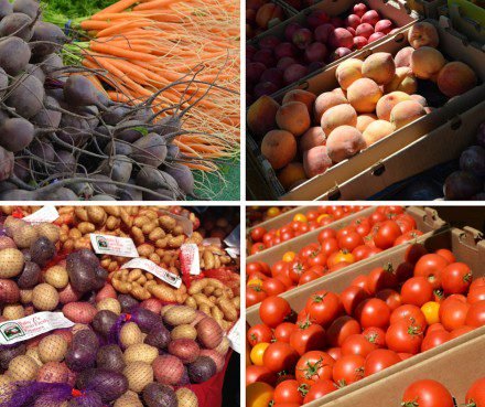 Untitled design (10)