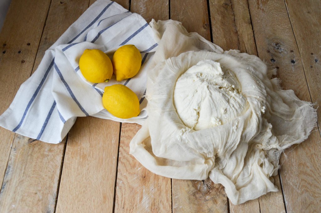 Homemade ricotta
