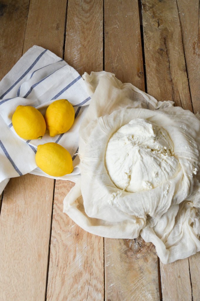 Homemade ricotta