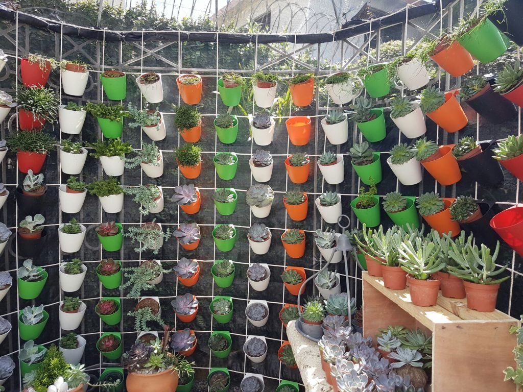 whatsapp-image-2016-10-10-at-9-57-11-pm