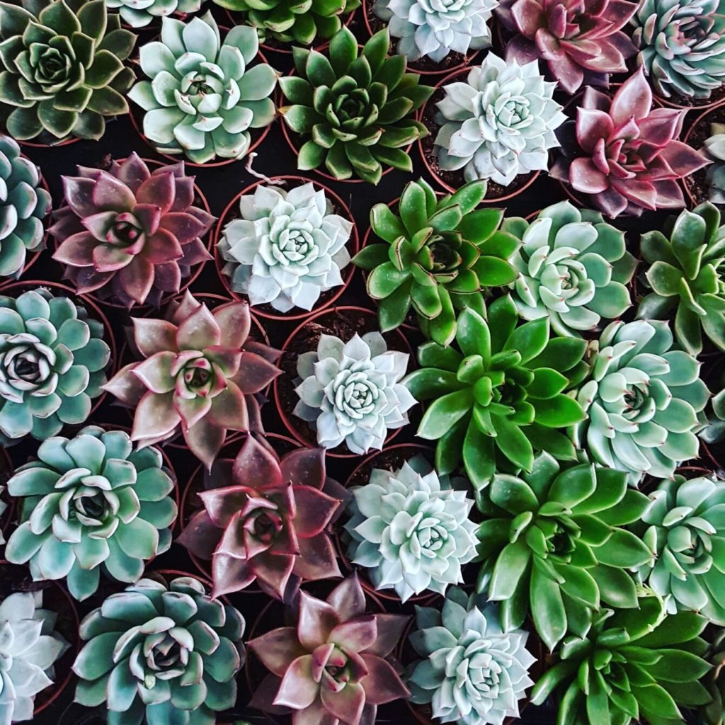 whatsapp-image-20160510-6-1