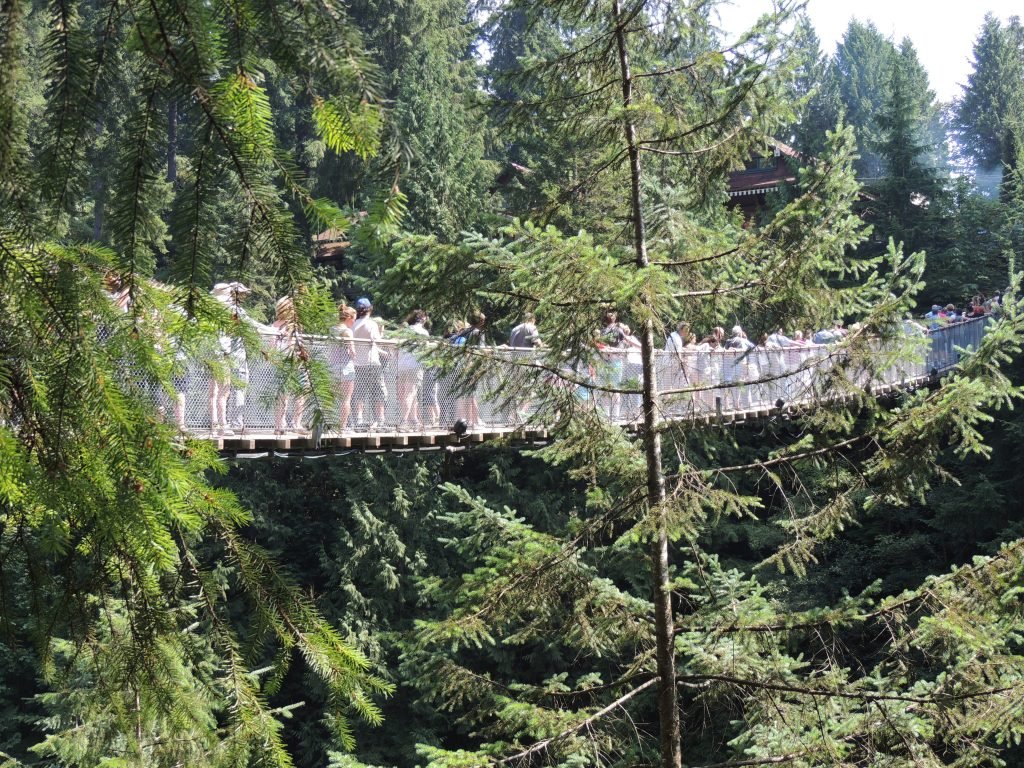 Scenic view from the Cliffwalk at Capilano Suspension Bridge Park