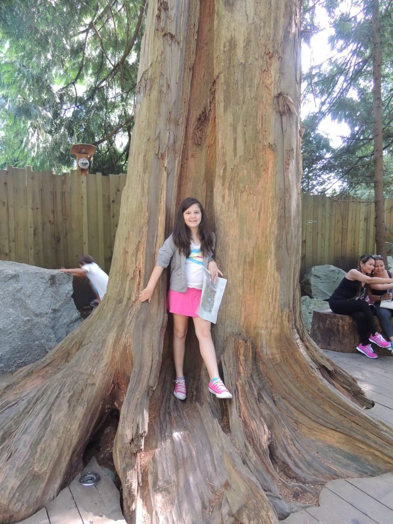 Kids exploring Treetops Adventure at Capilano Suspension Bridge Park
