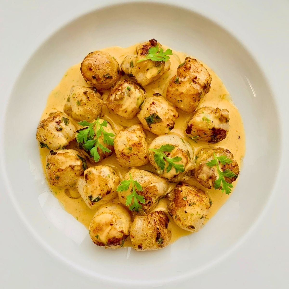 Seared Scallops in Coconut Lime & Cilantro Emulsion
