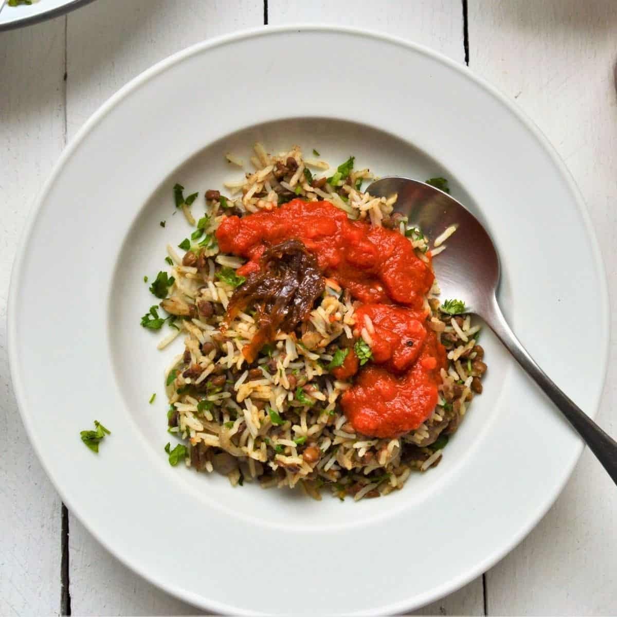 Amazing Egyptian Koshari Recipe