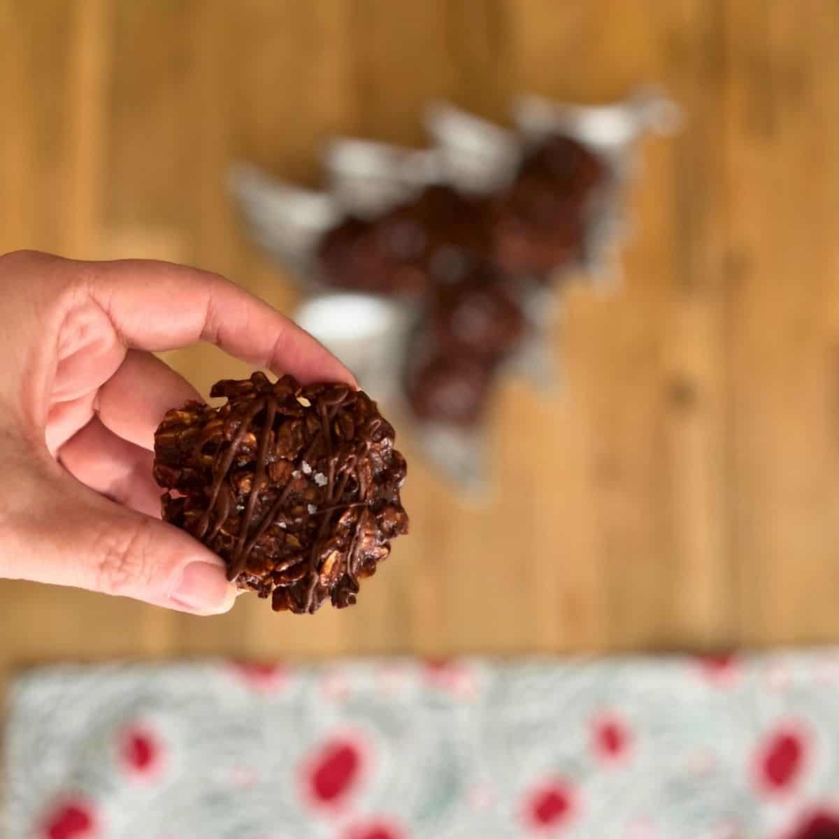 Gluten Free oat chocolate cookies