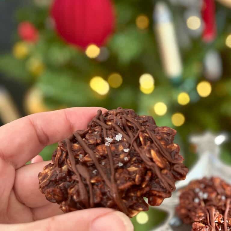 Gluten Free oat chocolate cookies